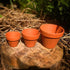 Pots de plantes en terre cuite de style vintage 1 ~ 50 pcs, 4 tailles différentes, en vrac, en gros